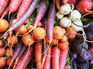 Colorful root vegetables. Carrots, beetroots, turnips. Late summer through autumn.